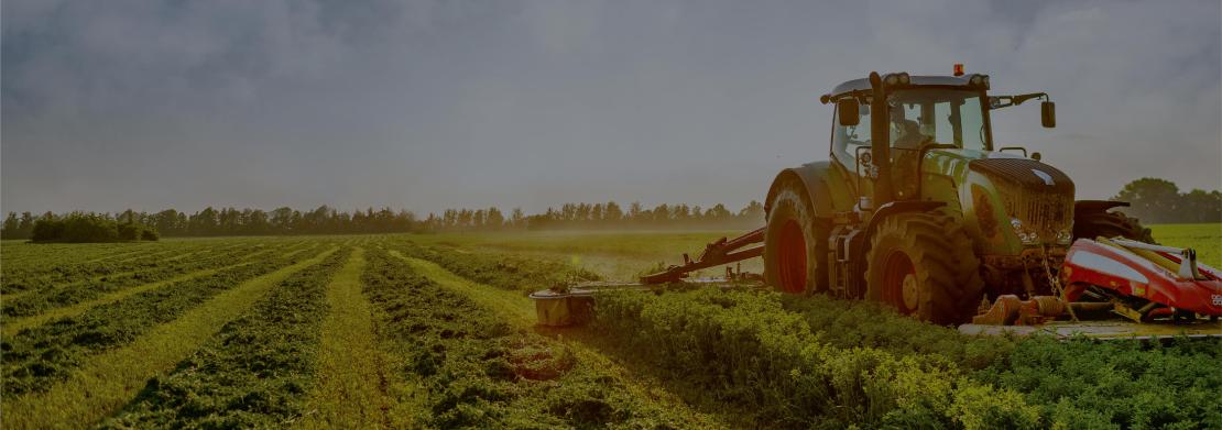 uku-dunya-gida-gunu-web2