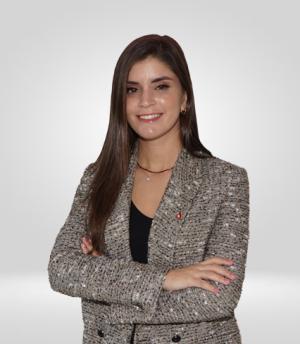 Begüm Berkmen