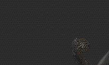 Shaping the Future with Alumni-07.jpg