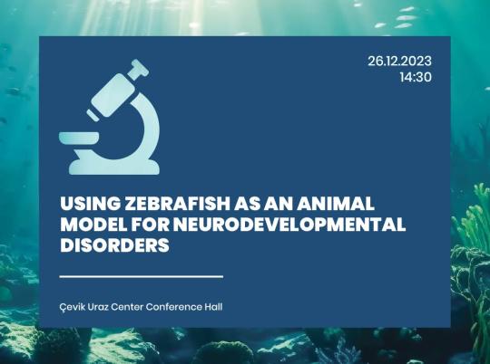 ciu-zebrafish-animal-model-webK